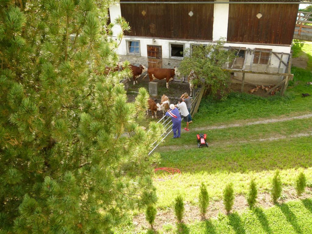 Ferienwohnungen Bachergut Mariapfarr Room photo