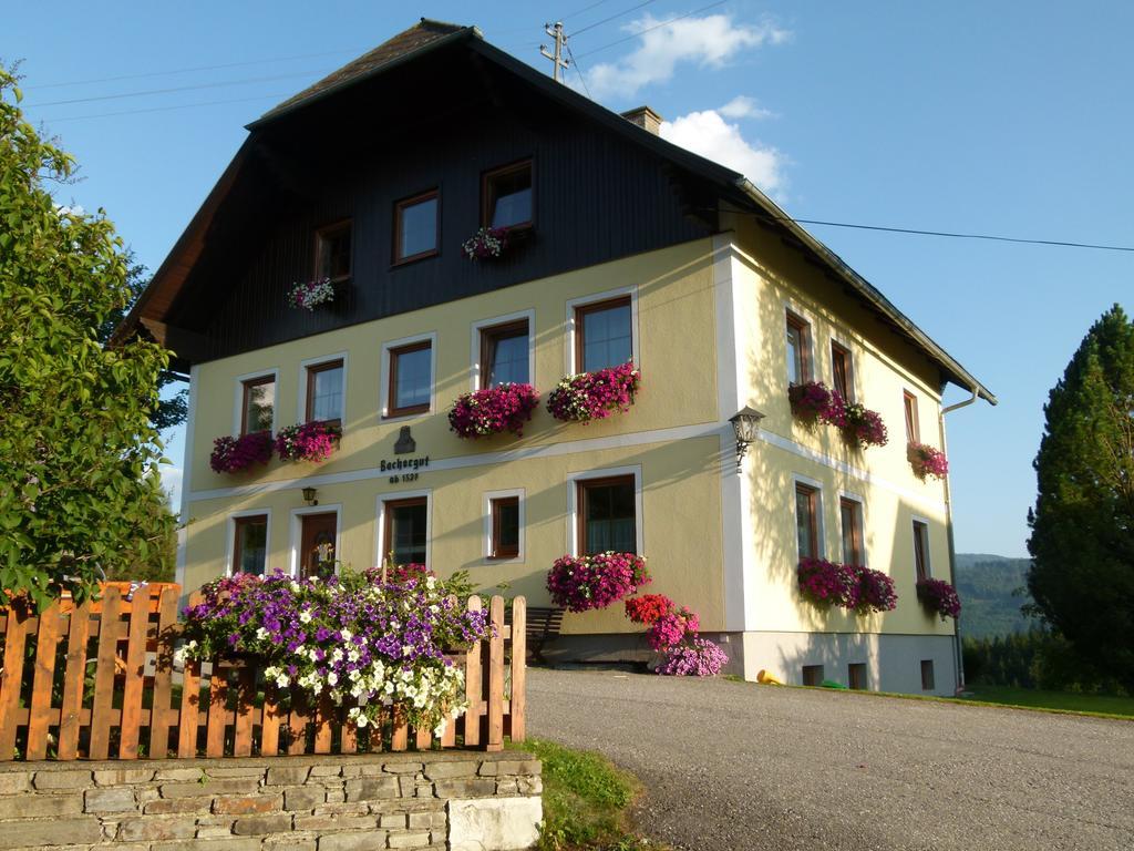 Ferienwohnungen Bachergut Mariapfarr Room photo
